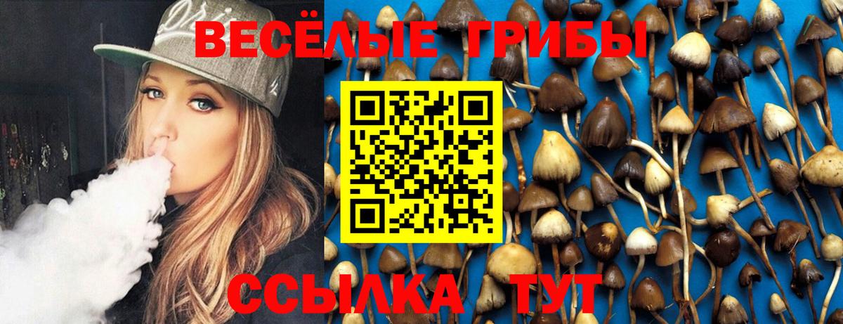 Галлюциногенные грибы ЛСД  Вход с VPN  Псилоцибиновые грибы MAGIC MUSHROOMS  Нерюнгри 